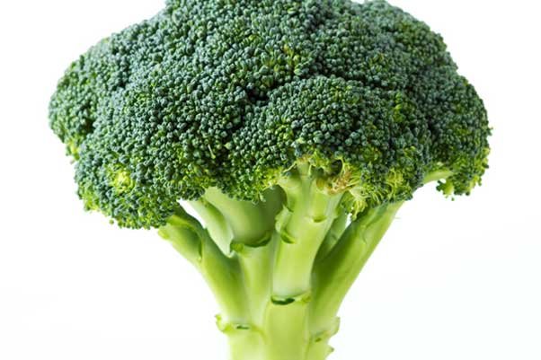Broccoli, not just a bodybuilding superfood!