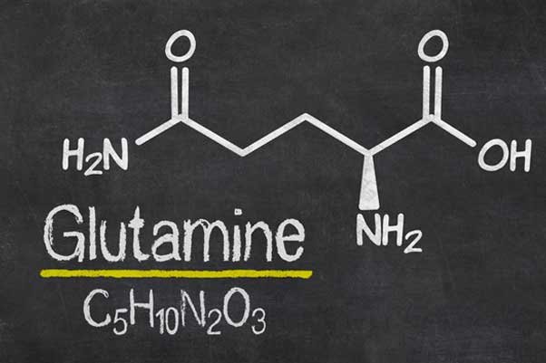 Conditionally essential amino acids