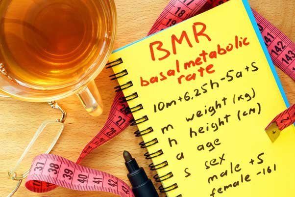 Understanding BMR and the factors affecting BMR